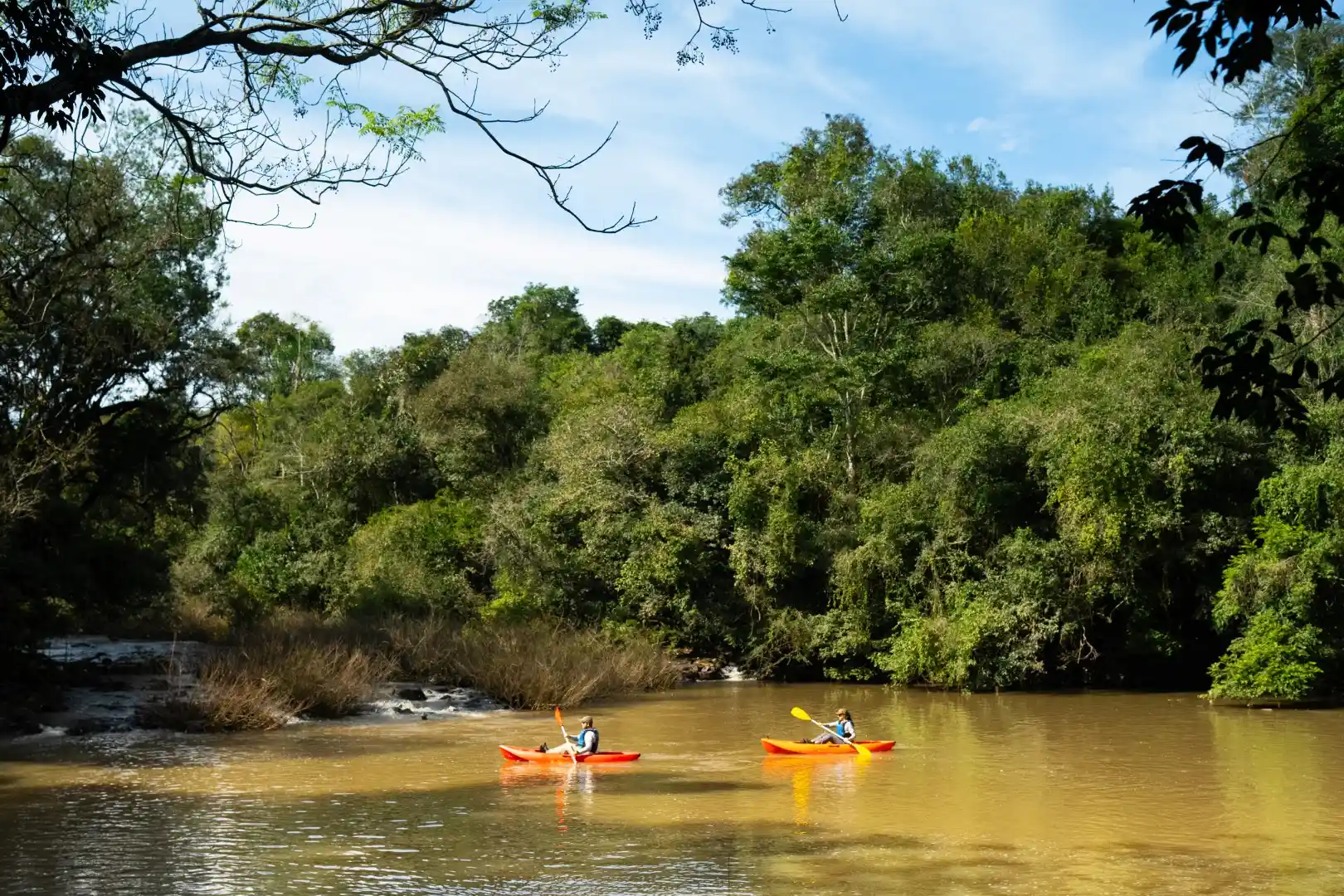 Two people kayaking on a calm river surrounded by lush green forest under a clear blue sky.