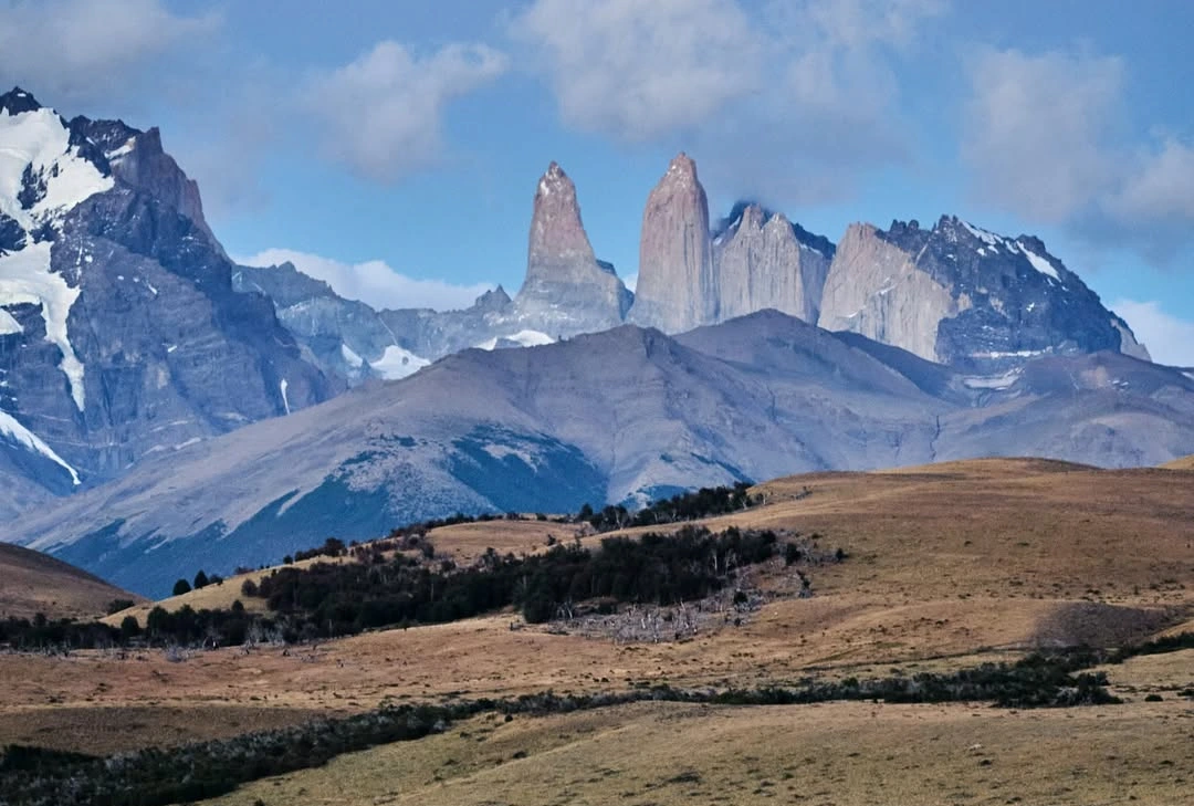 Loma guanaco