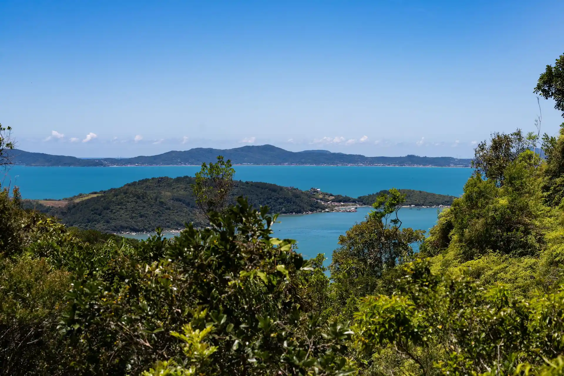 Panoramic coastal view of blue ocean and forested hills under a clear sky, seen from a lookout.